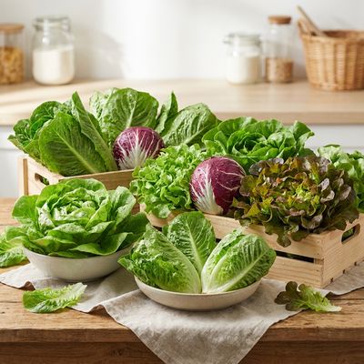 Lettuce: Uses, Substitutes, and How to Store It